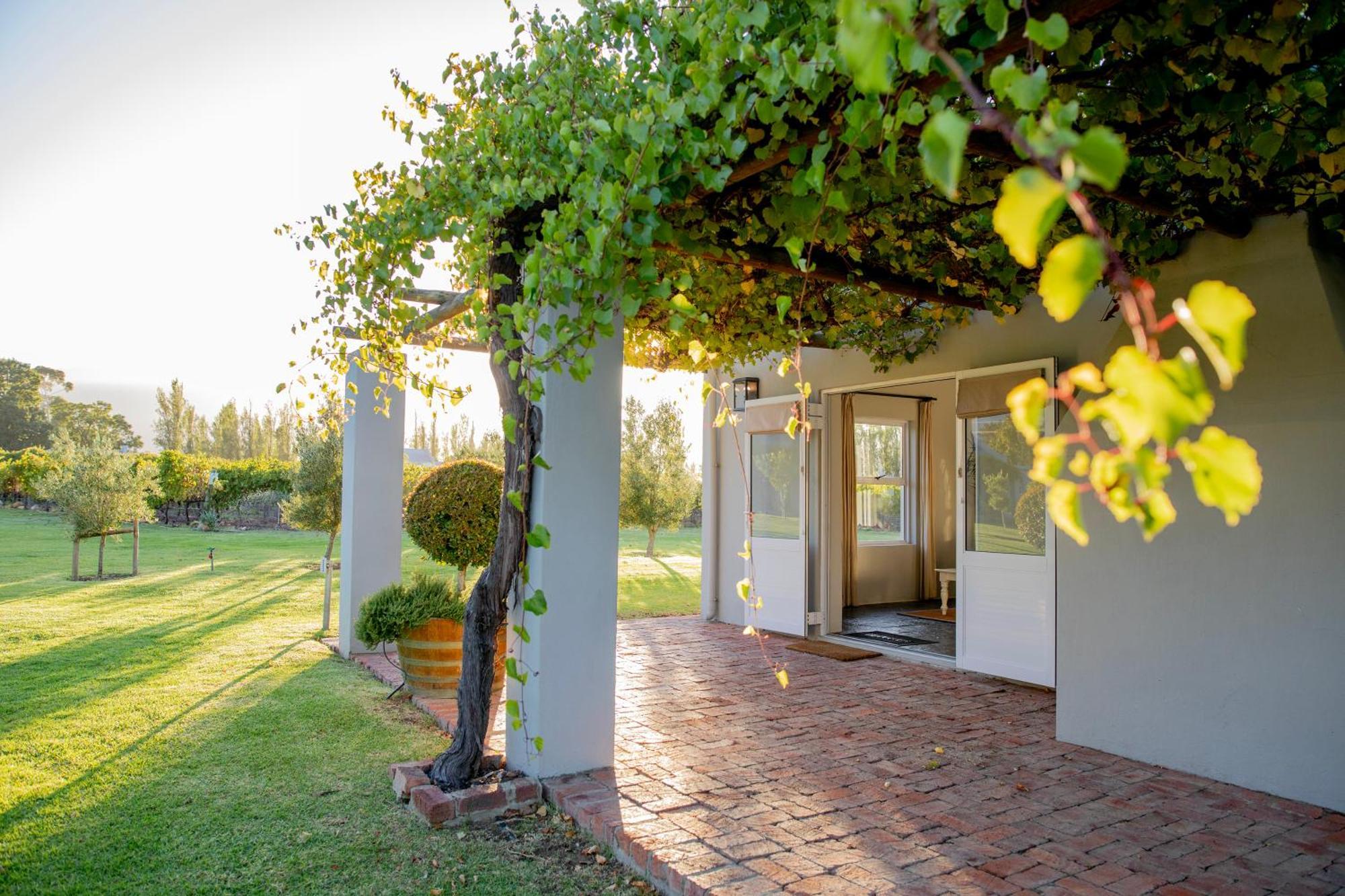 Saronsberg Vineyard Cottages Tulbagh Exteriör bild