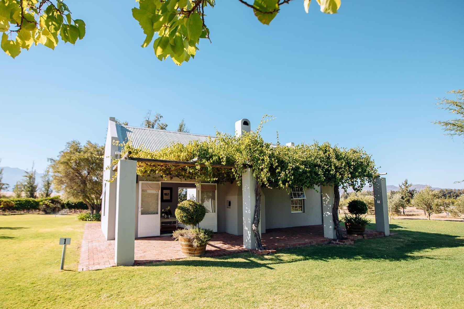 Saronsberg Vineyard Cottages Tulbagh Exteriör bild