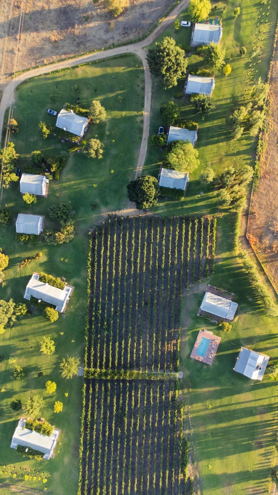 Saronsberg Vineyard Cottages Tulbagh Exteriör bild