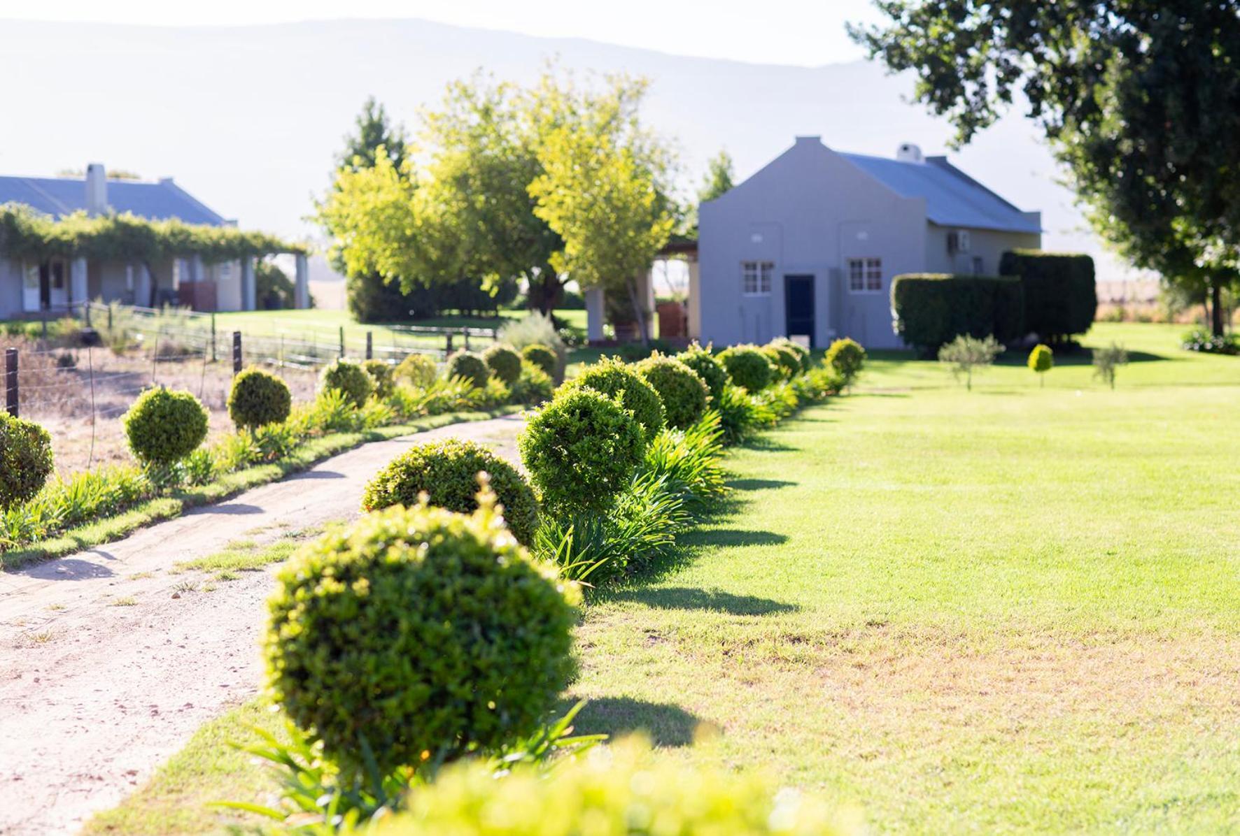 Saronsberg Vineyard Cottages Tulbagh Exteriör bild
