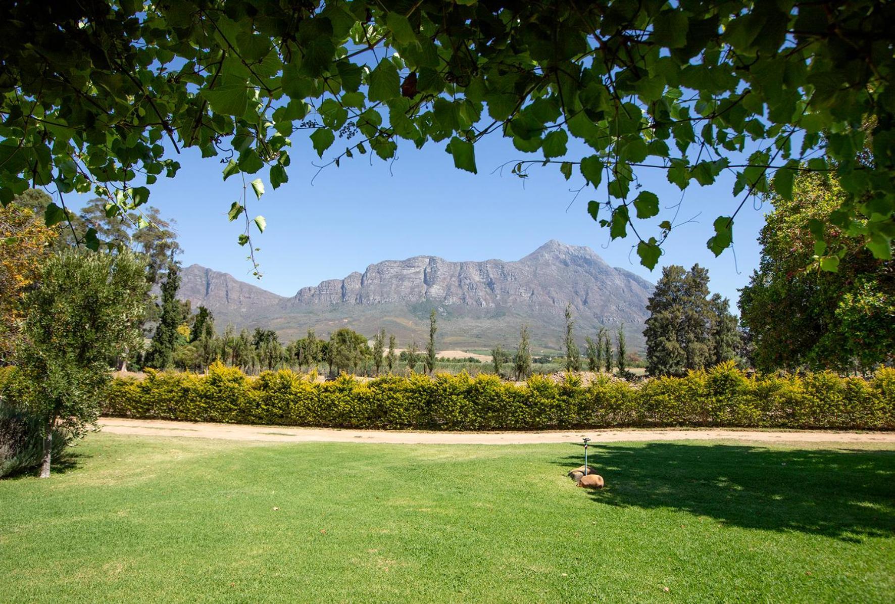 Saronsberg Vineyard Cottages Tulbagh Exteriör bild