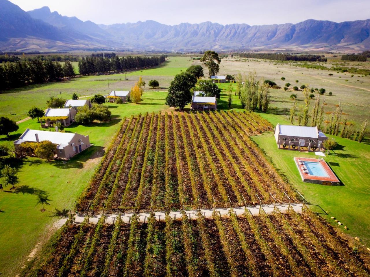 Saronsberg Vineyard Cottages Tulbagh Exteriör bild