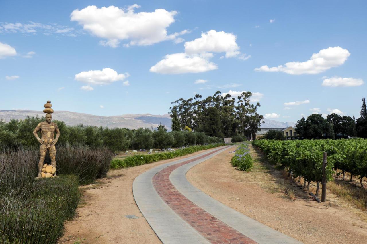 Saronsberg Vineyard Cottages Tulbagh Exteriör bild
